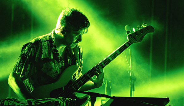 Bonobo