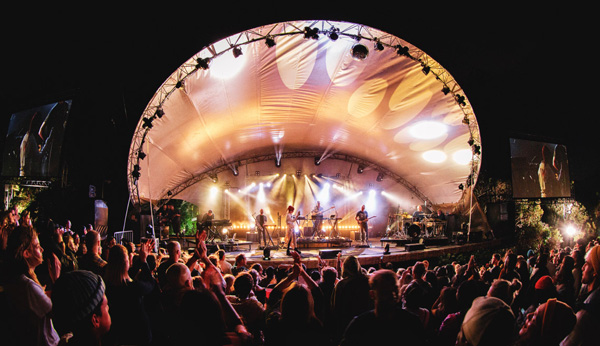 Bonobo